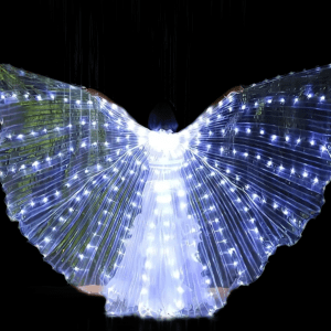 LED wings